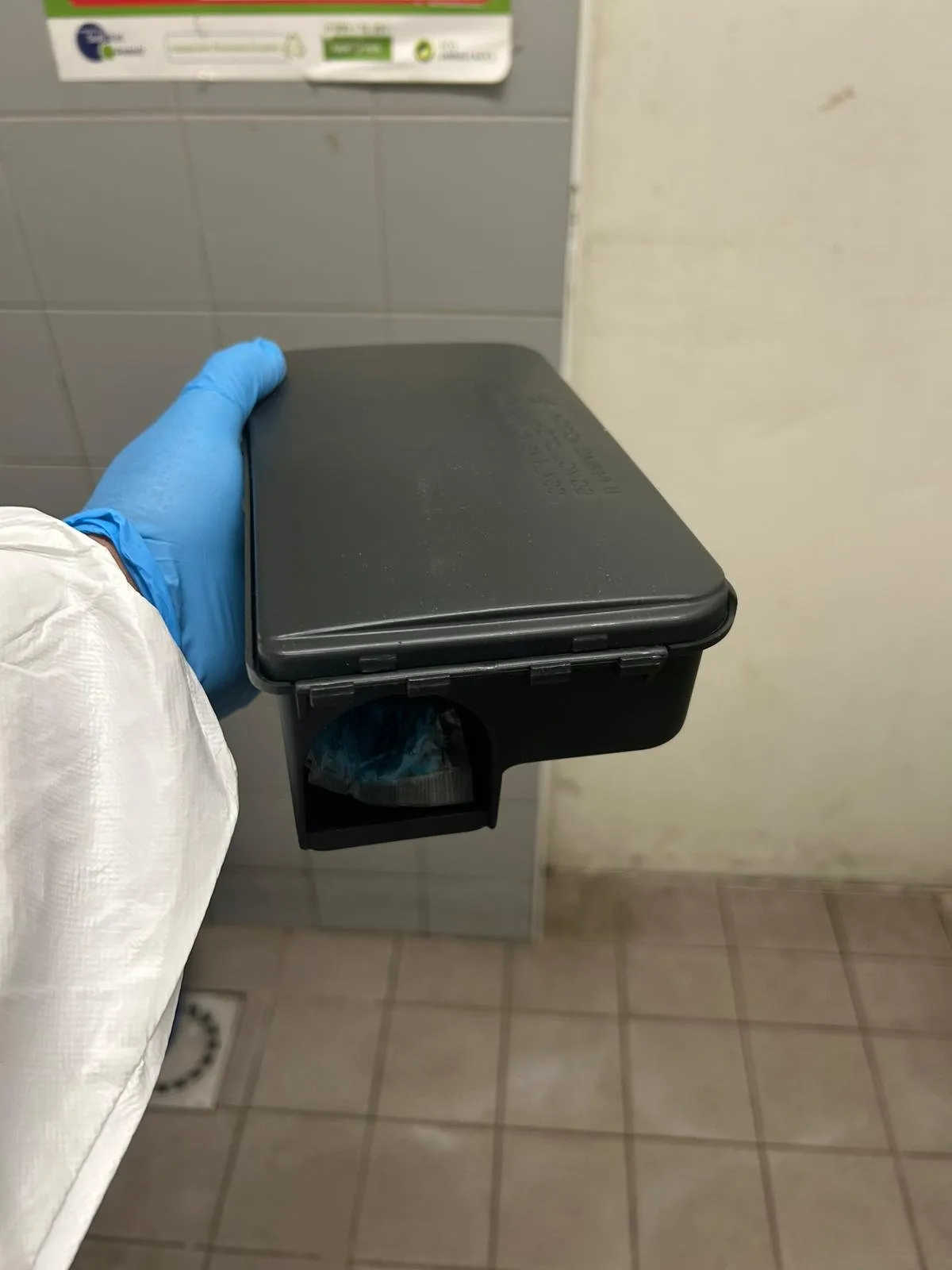 Dératisation rats et souris